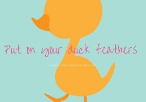 Put on Your Duck Feathers (1)